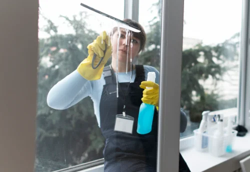 Nettoyage de vitres intérieures et extérieures à Cesset